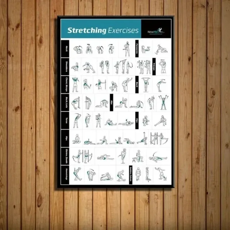 Home Gym Minimalist - Body Exercise Training Chart GYM Fitness