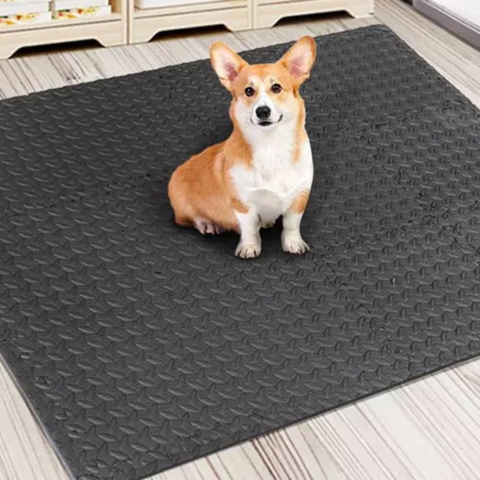 Puzzle Exercise Mat 12 Pieces  - Home Gym For Toddlers recension och pris